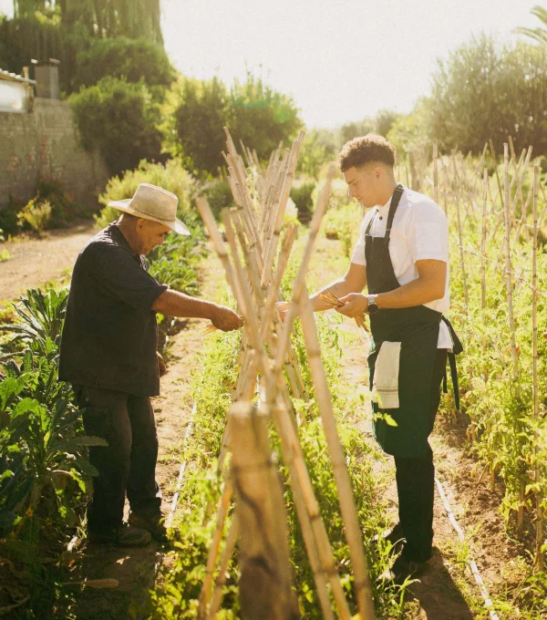 chef-huerta